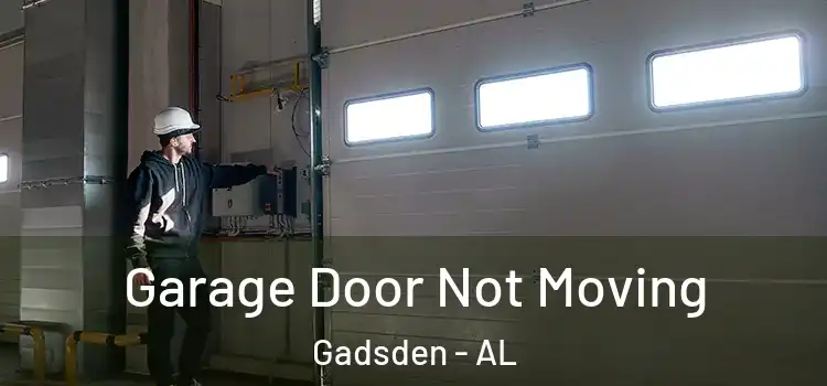  Garage Door Not Moving Gadsden - AL