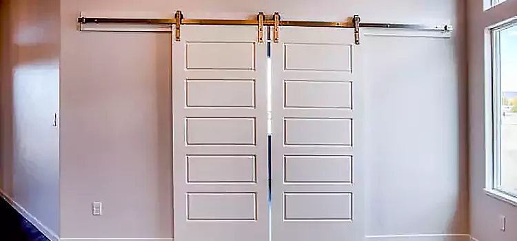 Glass Barn Door with Installation Hardware Kit Gadsden