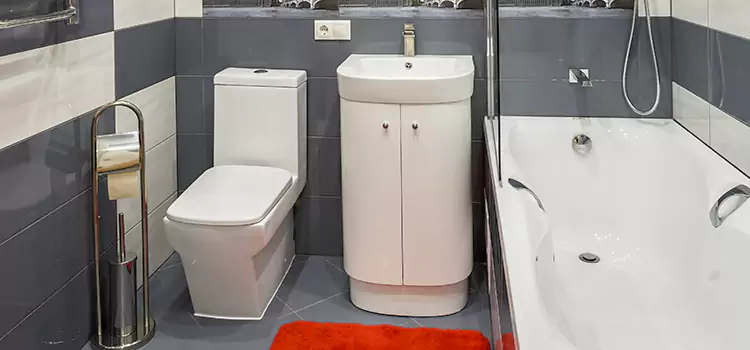 Hansgrohe Shaving Mirror Gadsden
